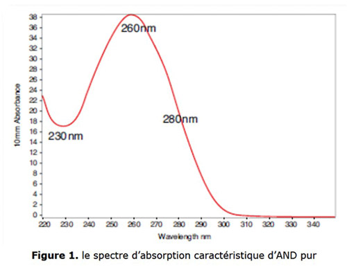 spectre absorption lumière UVC agent pathogène virus
